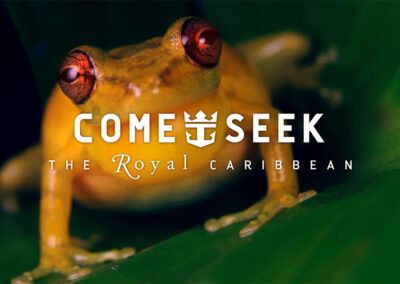 Royal Caribbean Social
