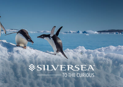 Silversea Banners