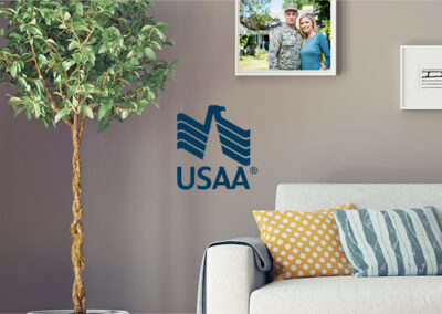 USAA Homepage Takeovers
