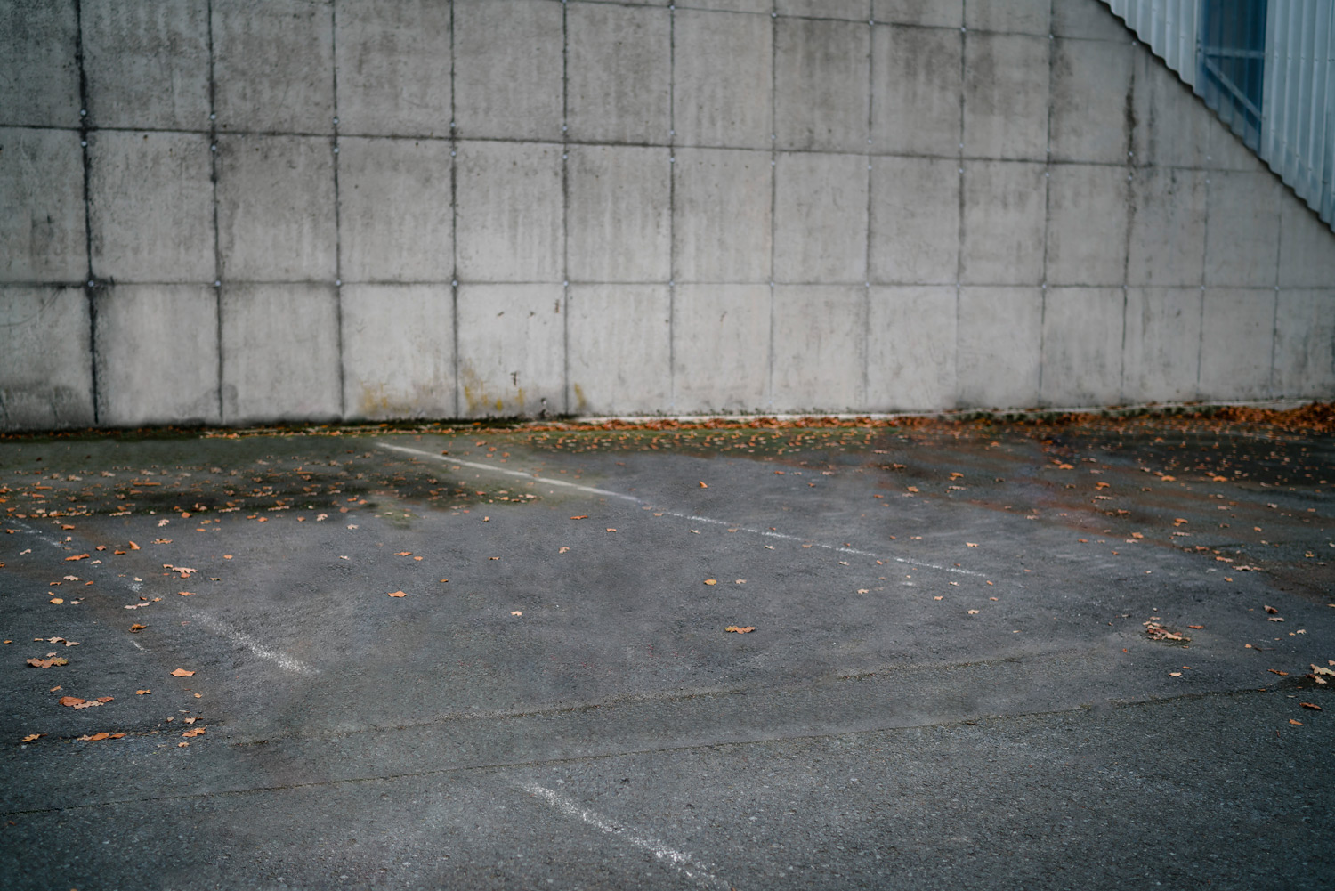 HAD_A7R6679496ben-Edit_silo-removed